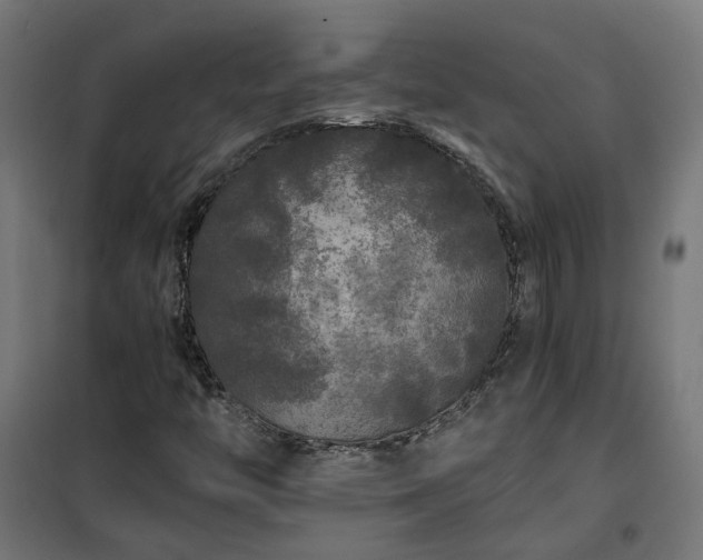 X0000100491446200806201642