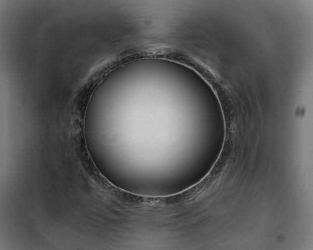 X0000100491447200806201642