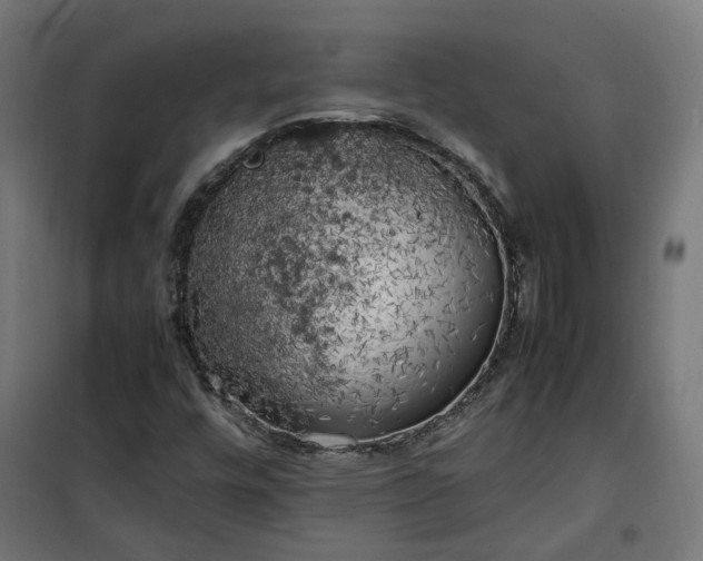 X0000100491448200806201642