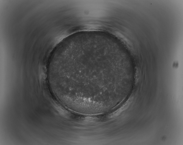 X0000100491449200806201642