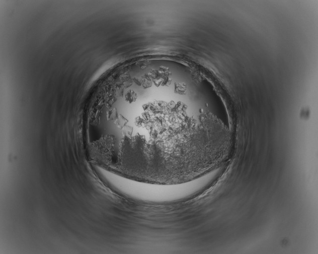 X0000100491450200806201642