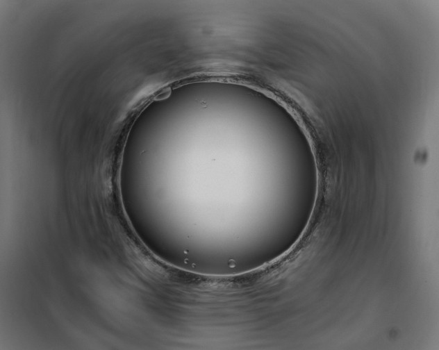 X0000100491451200806201642