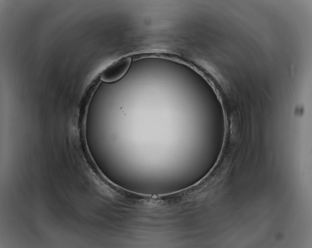 X0000100491452200806201642