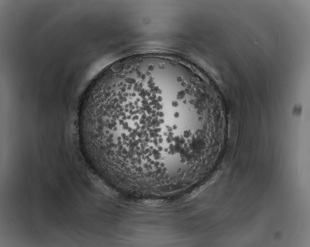 X0000100491453200806201642