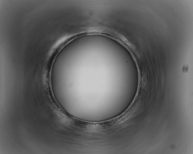 X0000100491454200806201642