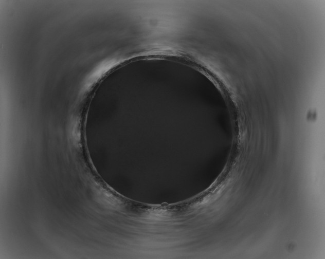 X0000100491455200806201642