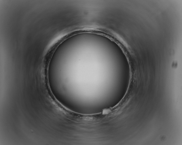 X0000100491456200806201642