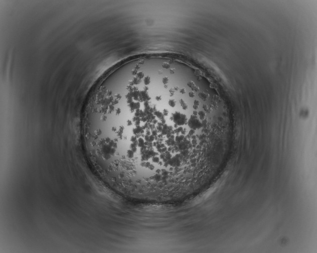 X0000100491457200806201642
