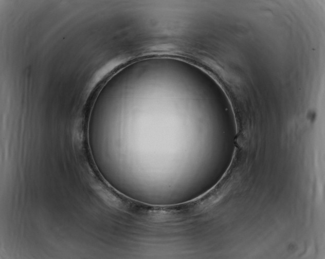 X0000100491458200806201642