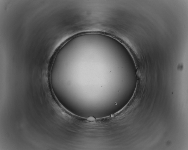 X0000100491460200806201642