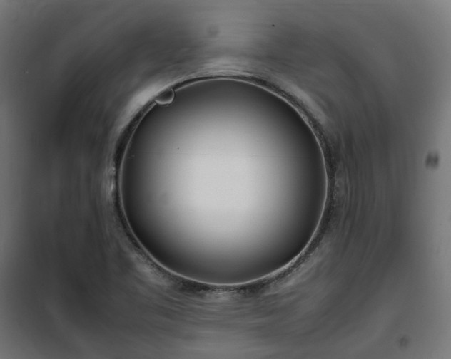 X0000100491461200806201642