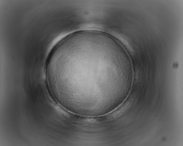 X0000100491462200806201642