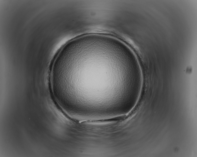 X0000100491463200806201642