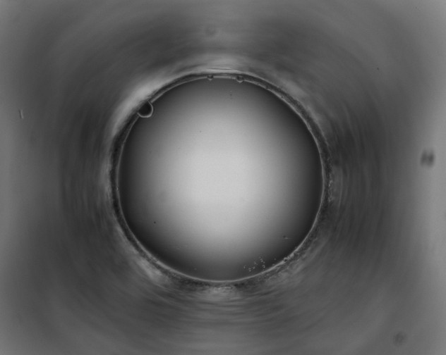 X0000100491464200806201642