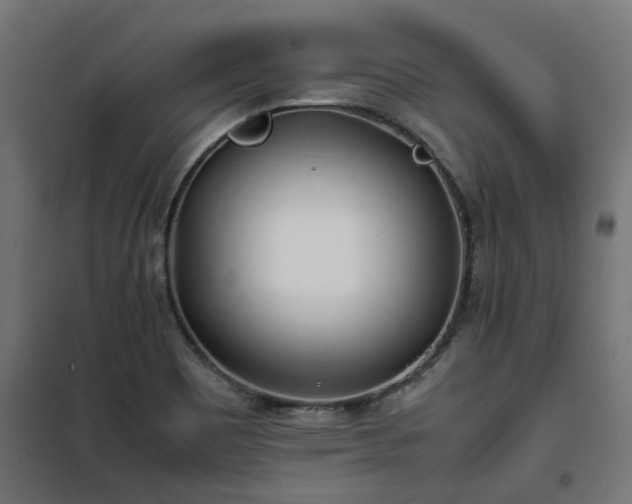 X0000100491465200806201642
