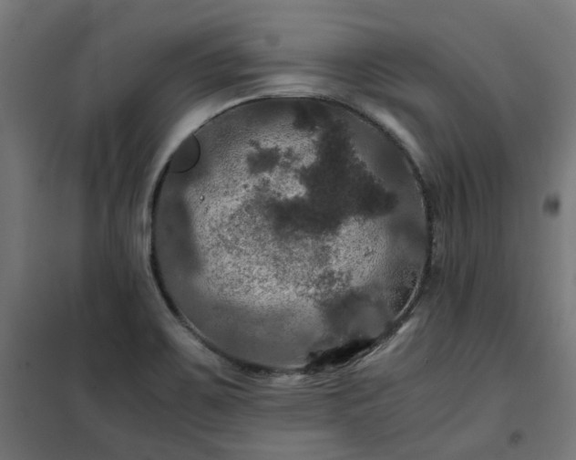 X0000100491467200806201642