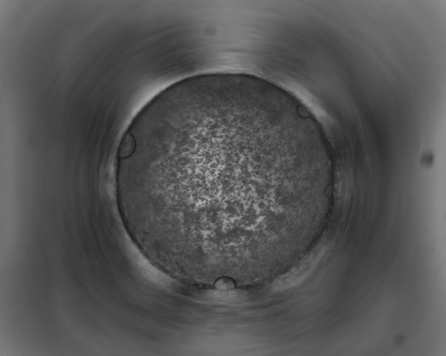 X0000100491468200806201642