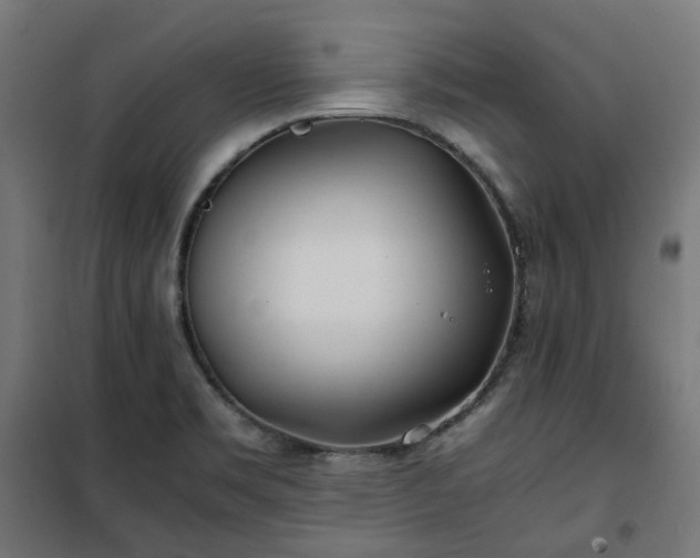 X0000100491469200806201642