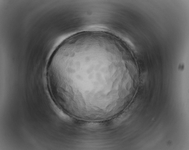 X0000100491470200806201642