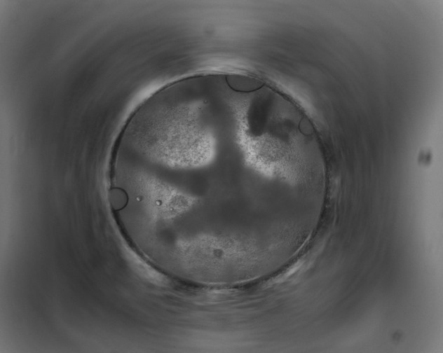 X0000100491471200806201642