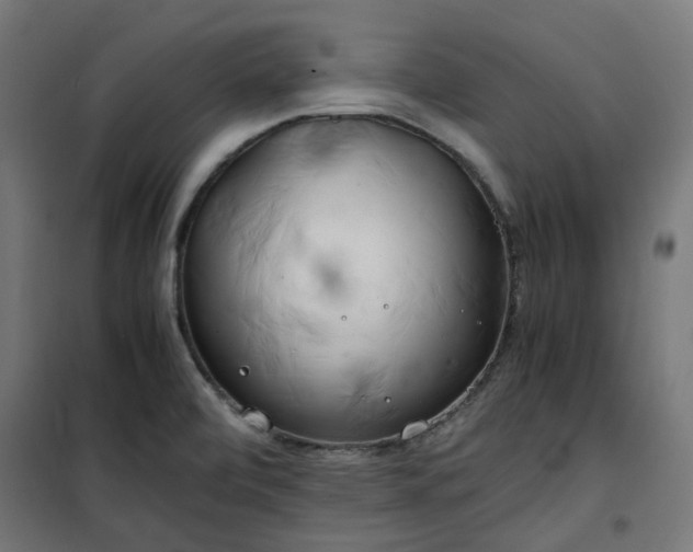 X0000100491472200806201642