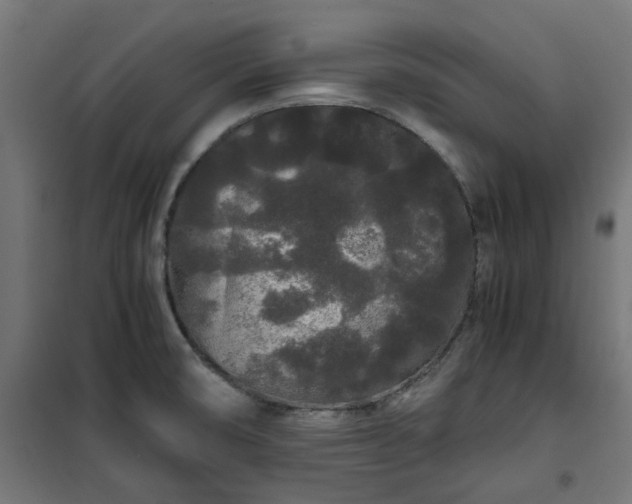X0000100491474200806201642
