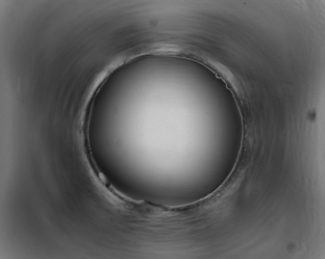 X0000100491475200806201642