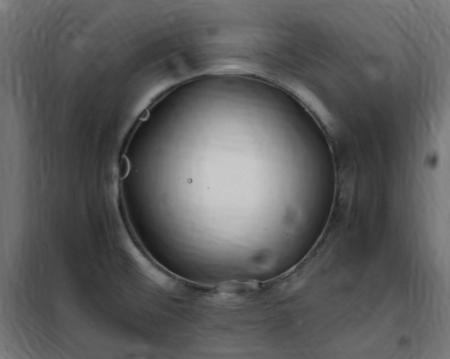 X0000100491476200806201642