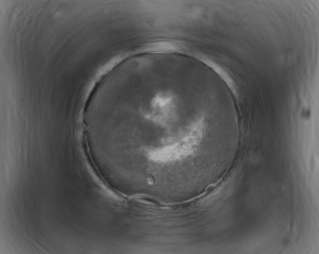 X0000100491477200806201642