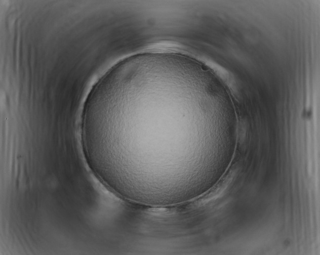 X0000100491478200806201641