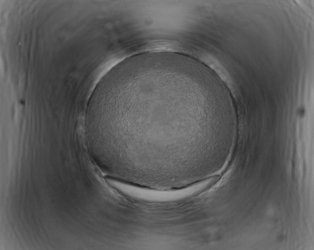 X0000100491481200806201641