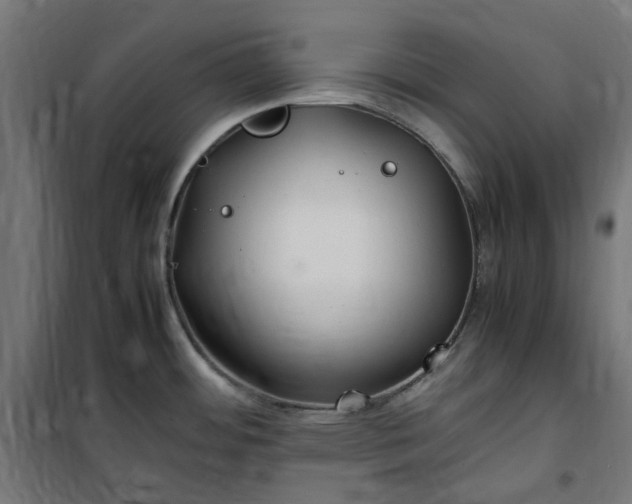 X0000100491484200806201641