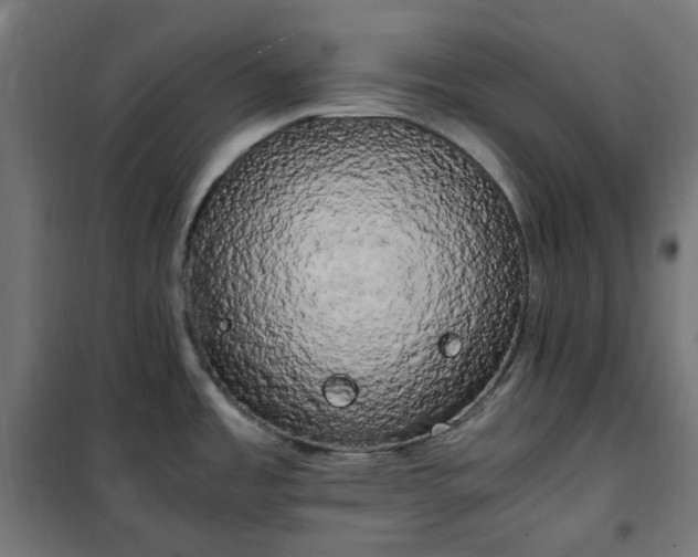 X0000100491485200806201641