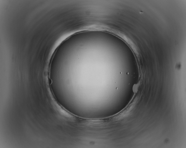 X0000100491486200806201641