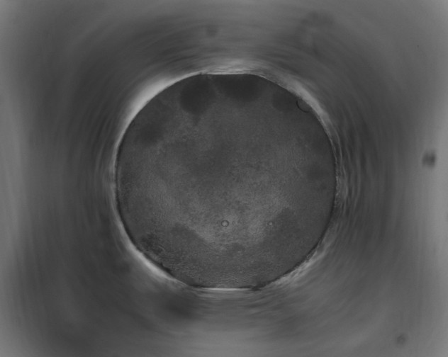 X0000100491487200806201641