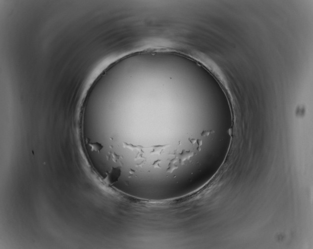 X0000100491488200806201641