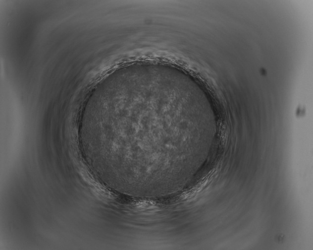 X0000100491489200806201641