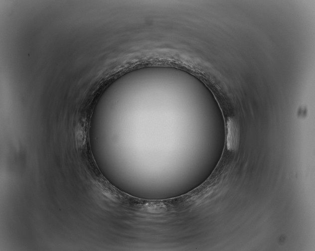 X0000100491491200806201641