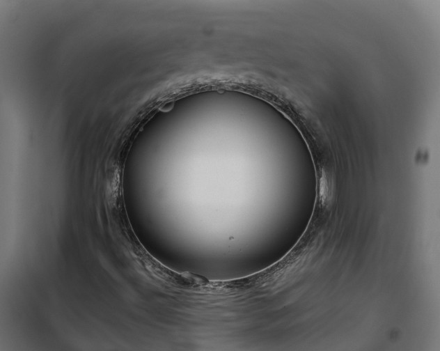X0000100491492200806201641
