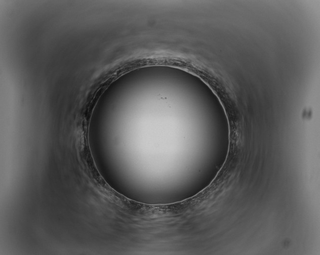 X0000100491493200806201641