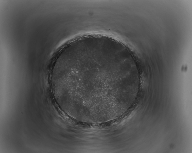 X0000100491494200806201641