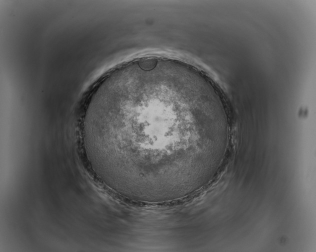 X0000100491496200806201641