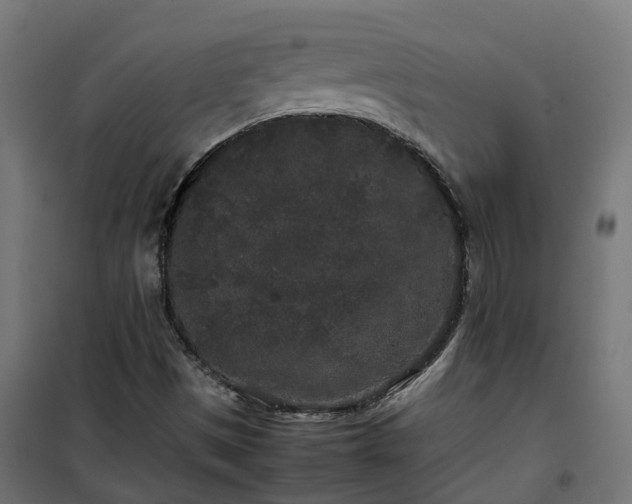 X0000100491497200806201641