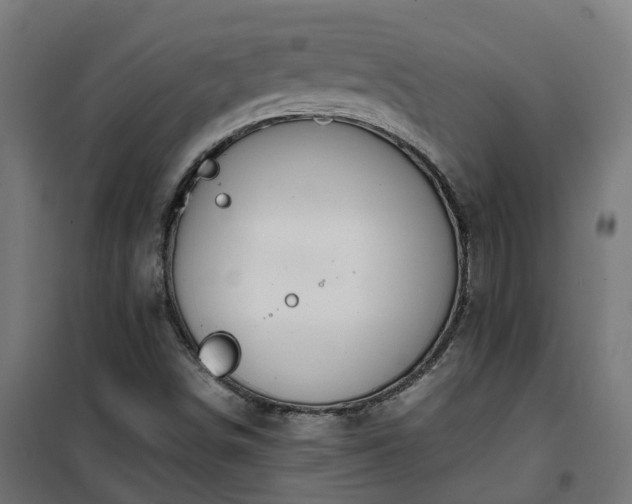 X0000100491498200806201641