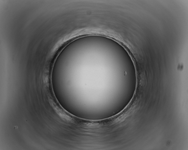 X0000100491499200806201641