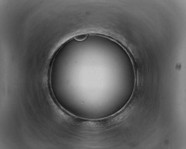 X0000100491500200806201641