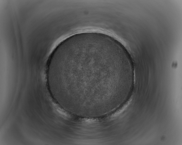 X0000100491501200806201641