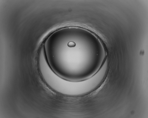 X0000100491502200806201641