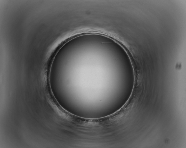 X0000100491503200806201641