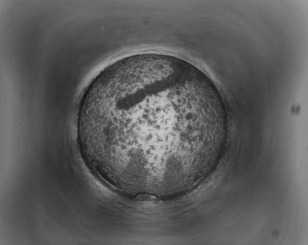 X0000100491504200806201641
